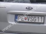 PEVSG11-PE-VSG11