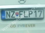 NZFLP17-NZ-FLP17