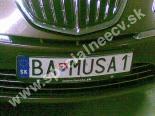 BAMUSA1-BA-MUSA1
