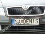 SADENIS-SA-DENIS
