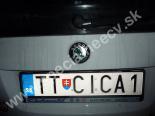 TTCICA1-TT-CICA1