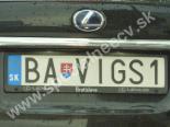 BAVIGS1-BA-VIGS1