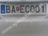 BAECO01-BA-ECO01