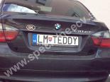 LMTEDDY-LM-TEDDY