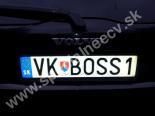 VKBOSS1-VK-BOSS1
