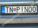 TNPINDO-TN-PINDO