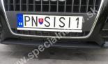 PNSISI1-PN-SISI1