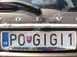 POGIGI1-PO-GIGI1