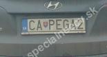 CAPEGA2-CA-PEGA2