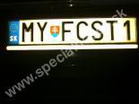 MYFCST1-MY-FCST1