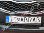 TTABRAB-TT-ABRAB
