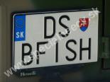DSBFISH-DS-BFISH