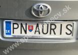 PNAURIS-PN-AURIS