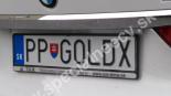 PPGOLDX-PP-GOLDX
