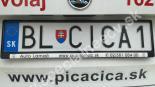 BLCICA1-BL-CICA1