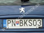 PNBKS03-PN-BKS03