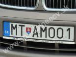 MTAMOO1-MT-AMOO1