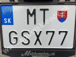 MTGSX77-MT-GSX77