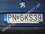 PNBKS39-PN-BKS39