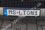 MSLION1-MS-LION1