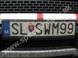 SLSWM99